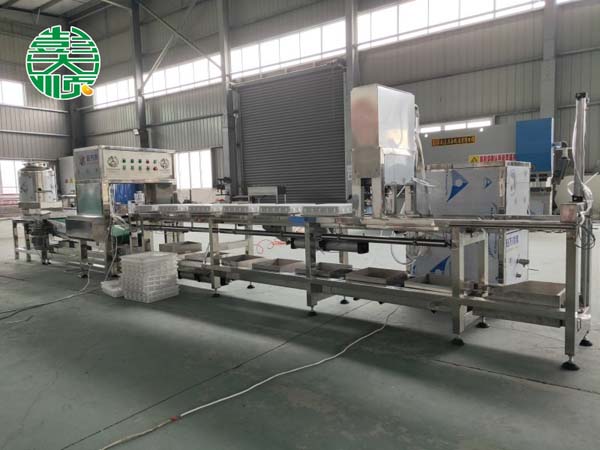 沖漿豆腐生產線設備